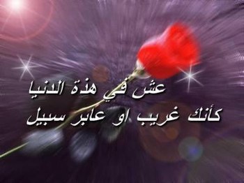 love    maroc